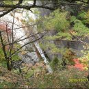 진고개목장 이미지