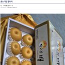 배가기업 이미지