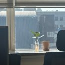 부산뱅갈하우스 | 24.03 3rd 식사일기