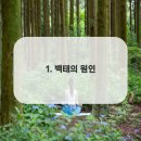연세돌담치과의원 이미지
