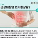 급성 췌장염 초기 만성 췌장염 원인 이미지