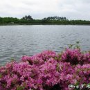 바른생활 이미지