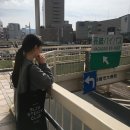일본 여행 여행자에게 유용한 도시 이미지