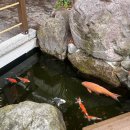 노노 | [후쿠오카/벳푸] 벳부핫토 온야도 노노 내돈내산 후기 ♨️