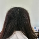 본투비헤어 이미지
