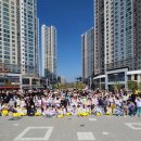 충효태권도(한들물빛관) 이미지