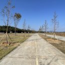 금산 와룡지구 1 이미지