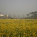 안성맞춤랜드 이미지