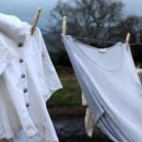 일급세탁소 이미지