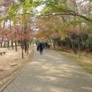 부소산 관광안내소 이미지