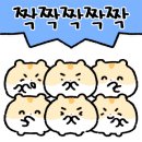제이에스홀리데이