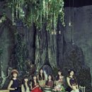 오베스트 이미지