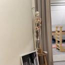 순화궁로357 | 별내필라테스/ 별내번지피지오/ 비바필라테스&amp;번지피지오 ( 필라테스, 바레 수업 후기/ 상세한 후기)