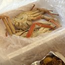 아라비카 호스텔 이미지