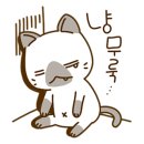 분당약국 이미지