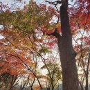 행복이 가득한 터 이미지