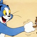 톰과제리 이미지