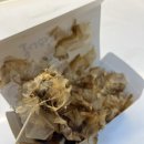 호시타코야끼 | 한입에 바삭쫀득 배곧 신규 호시타코야끼 맛집 후기