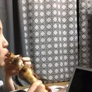 족장(중동점) 이미지