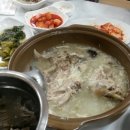 용준농장 Daum카페