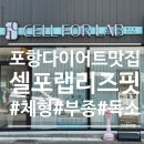셀포랩리즈핏