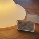 나루터로1-4 | 추천☕️] 잠실 석촌역 송리단길 작업하기 좋은 조용한 카페 나루터 솔직 후기!!((낮엔 카페, 밤엔 바?!))