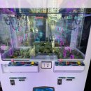 아지트인형뽑기 이미지