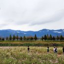 사포회관 이미지