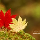 그대그리고나 이미지