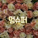 멍슈퍼 이미지