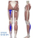 경희유엔한의원 이미지