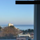 GS25 관교한신점 | [강릉] 1박 2일 혼행..보단 요양