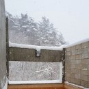 샘 온천 이미지