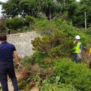 푸른정비 이미지