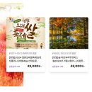 굿모닝 여행사 이미지