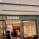 아리안 | 압구정 갤러리아 에르메스 아리안 웨딩밴드 구매후기 및 꿀팁