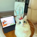 샤이니덴탈 이미지