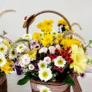 기장초등학교 이미지