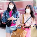 미유 이미지