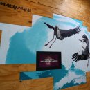 황새가족과 황새알 이미지