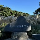 안면도자연휴양림 이미지