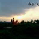 용택농장 이미지