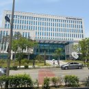 대출 연체해도 6개월 경매유예, 일주일에 7번 이상 추심 못한다
