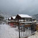 미륵목장 이미지