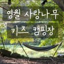 사랑나무 캠핑장 | 영월 사랑나무 캠핑장 : 내리계곡 키즈 캠핑장