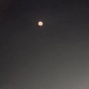 달빛아래 이미지