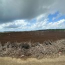 무릉중학교 이미지