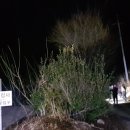 명동리경로당 이미지