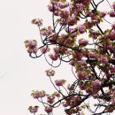 유엔기념공원주차장 이미지