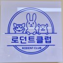 로던트 클럽 | 수원 햄스터분양 로던트클럽 수원점 골든햄스터 초코세이블.